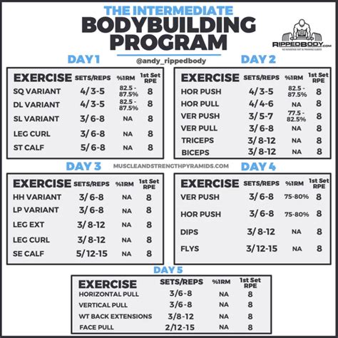 reddit bodybuilding programs.